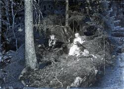 Henriette "Jeia" Homann med to hunder, skogsholt. Berg gård,