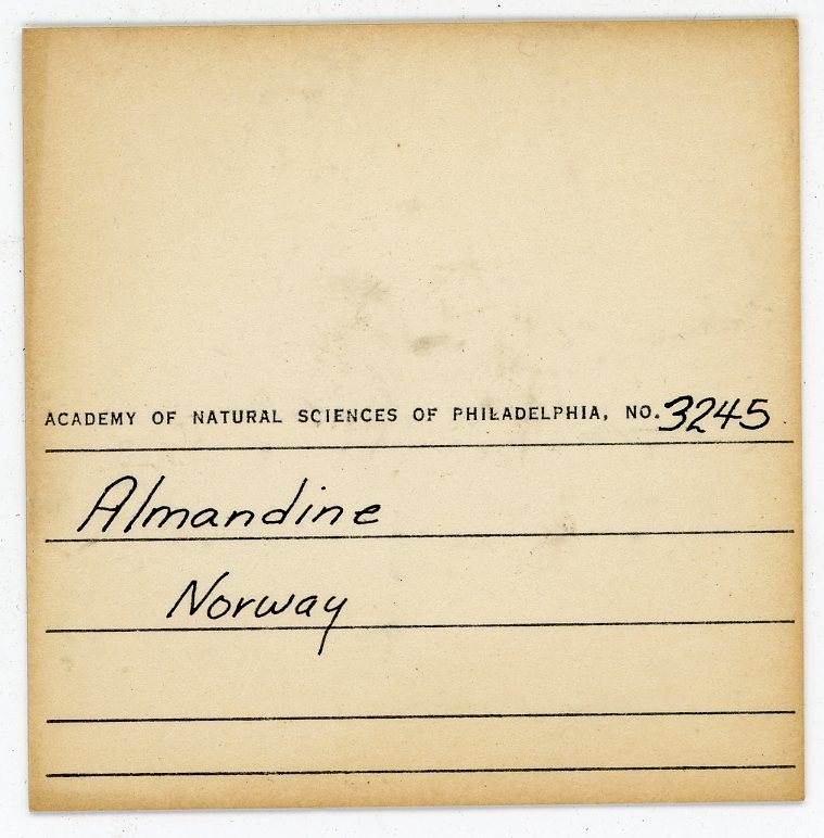 Philadelphia Academy of Natural Sciences