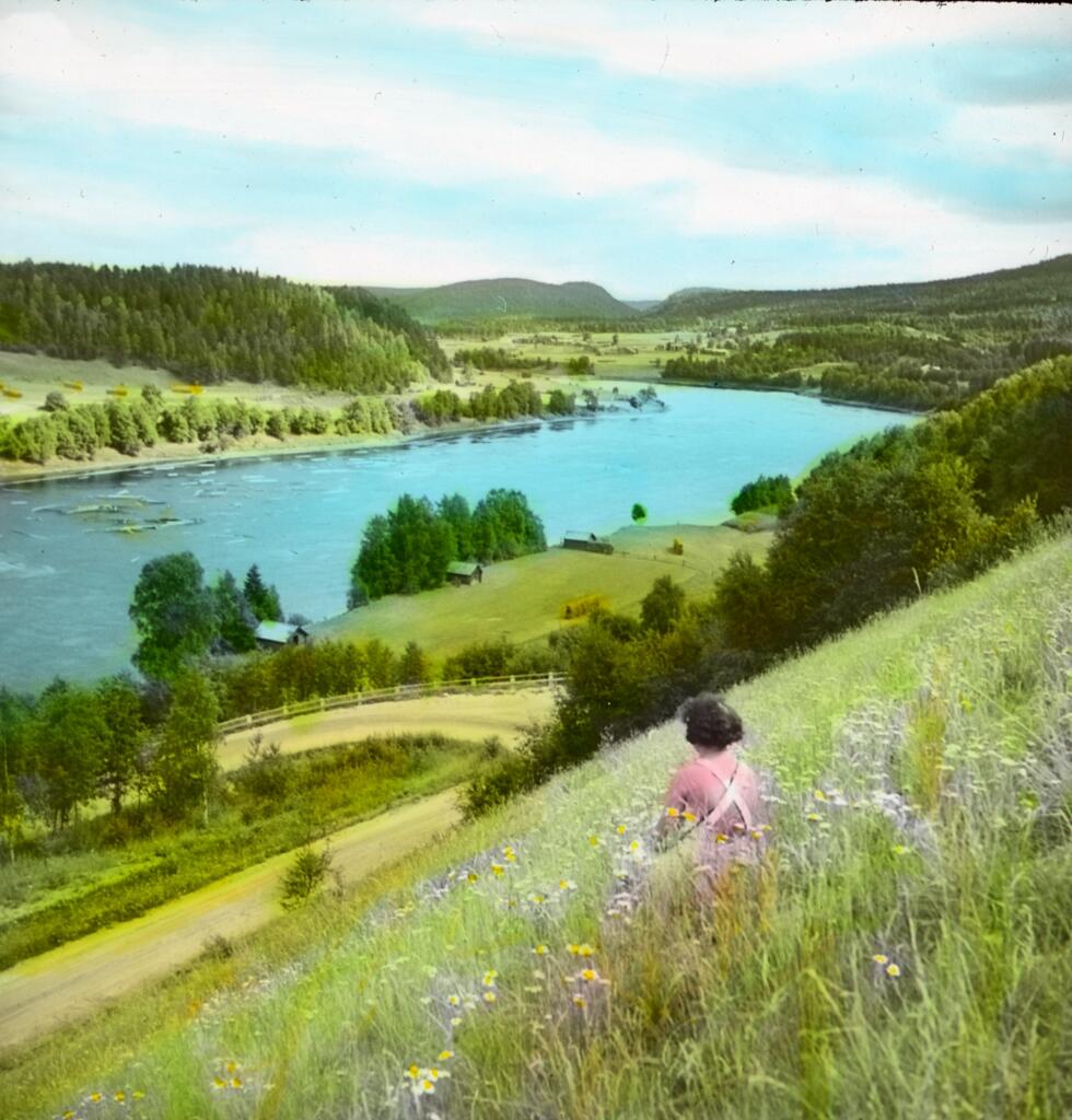 Floden Ångermanälven och den vackra naturen i sommar grönskan med en sittande kvinna i förgrunden.