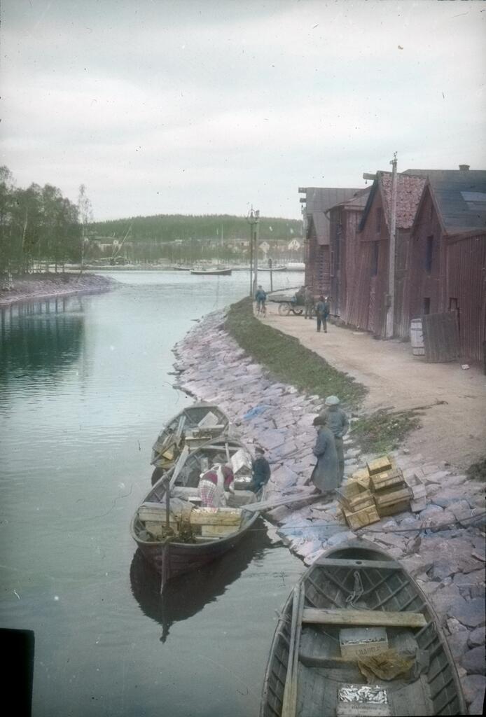 Fiskebåtar i kanalen Härnösand