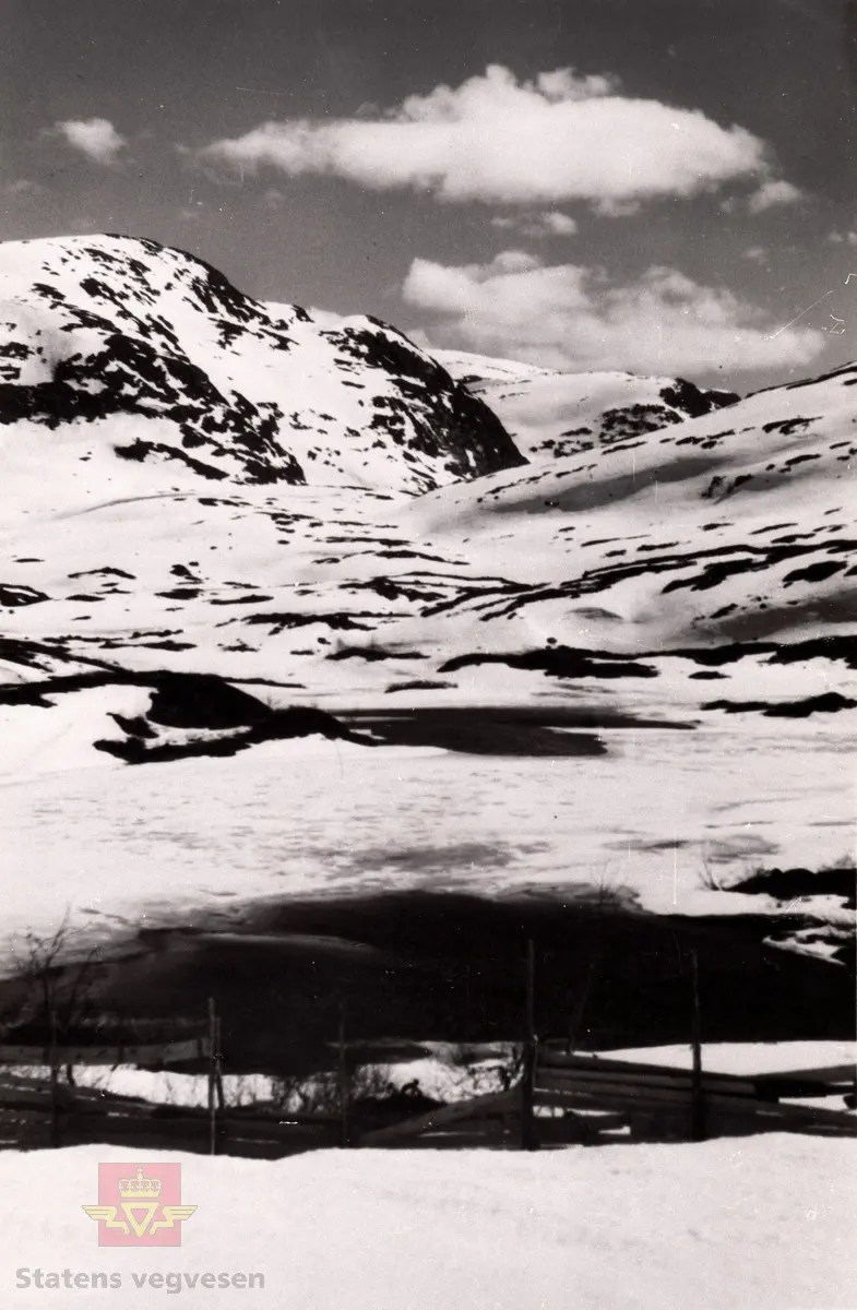Riksveg 13 Gaularfjellet - snøskjermar ved Lonene. 

Legst i bakgrunn sjåast Vassdasnipa.