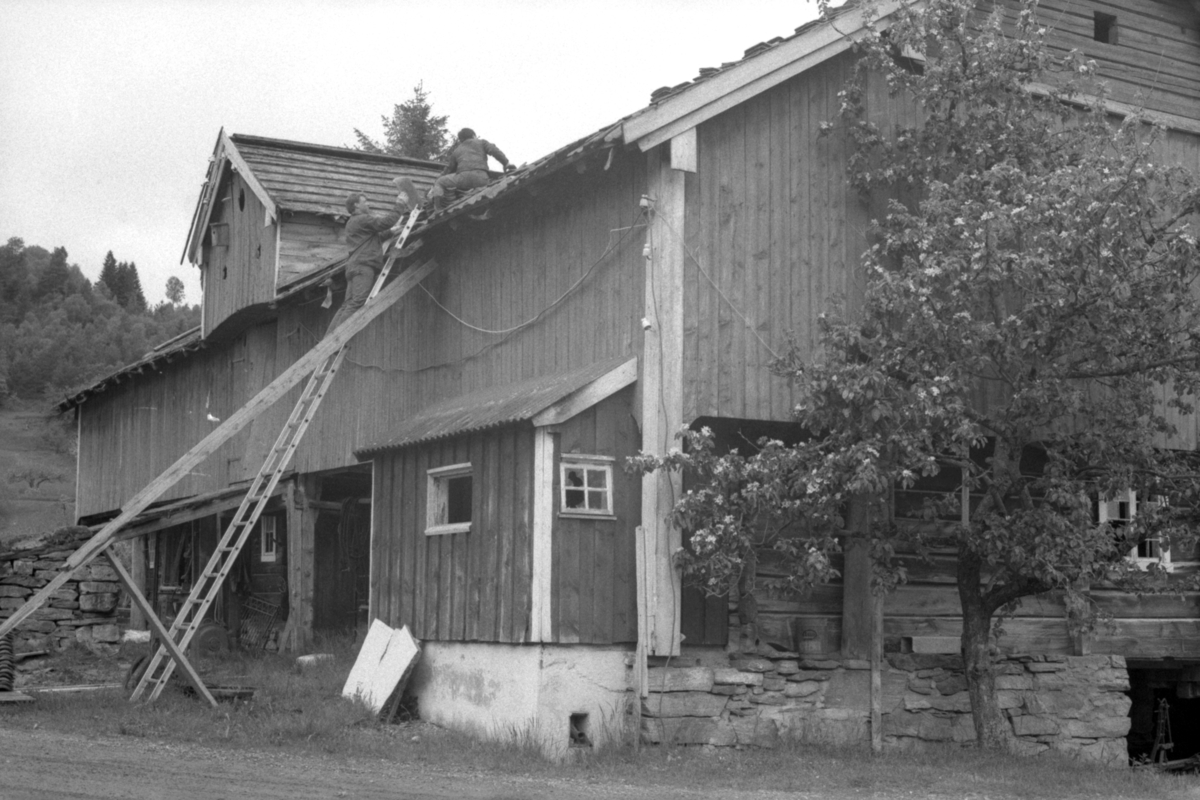 Dokumentasjonsbilder i serie av Opshaugløa før nedtaking og flytting til Sunnmøre Museum.
