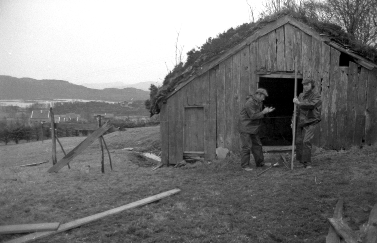 Dokumentasjonsbilder i serie av nedtaking og riving av Svarthaugstova fra Herøy. Et sammenbygd hus som bestod av fjøs, løe og stove.
