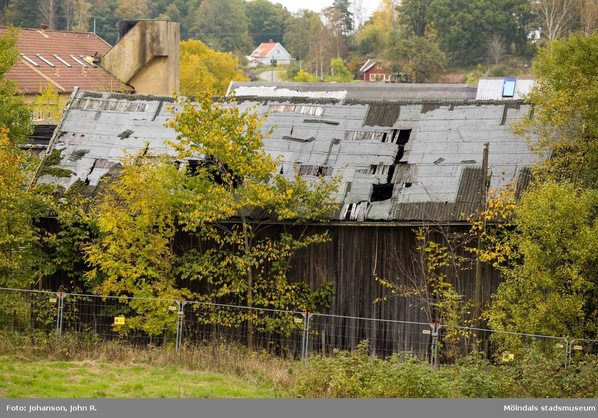 En rejält förfallen ladugård i Annestorp, Lindome, i Mölndals kommun. Fotografi taget av John R. Johanson, Rstudio, den 29 oktober 2021.
