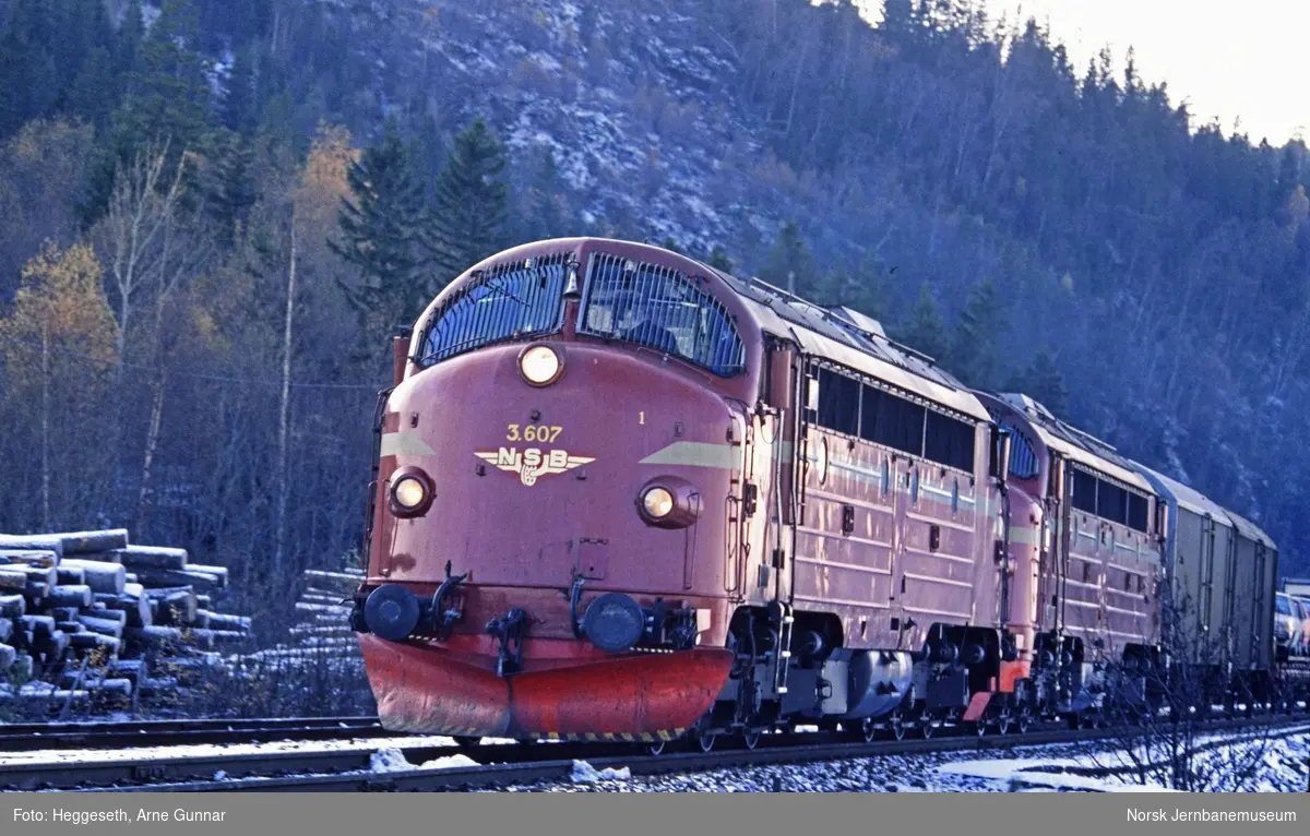 Diesellokomotiv Di 3 607 med godstog på Hell stasjon