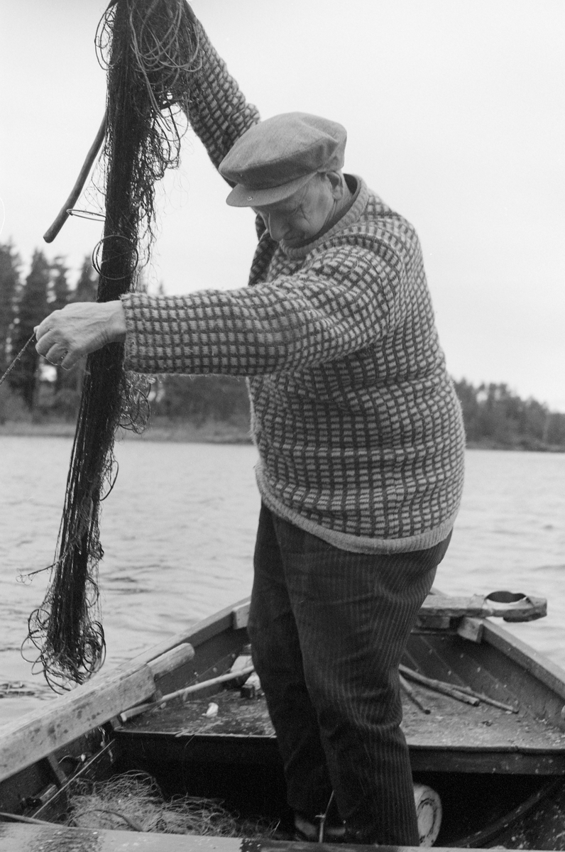 Yrkesfisker Paul Stensæter (1900-1982), fotogfrafert i robåten han brukte under garnfiske etter sik og ørret i Steinsfjorden, en sidearm til Tyrifjorden på Ringerike i Buskerud. Bildet ble tatt høsten 1973. Stensæter var da den siste som hadde næringsfiske som hovedsyssel i dette området. Da han var ung skal det ha vært 17-18 som drev slikt fiske, blant annet Stensæters far, Sigvart Stensæter (1878-1963) . På dette fotografiet ser vi fiskeren som sto i båten og satte et garn. Han var iført bredstripete cordfløyelsbukser og en rutemønstret ullgenser. Stensæter hadde sixpencelue på hodet. Fotografiet ble tatt en gråkald dag i slutten av oktober. 

Åsmund Eknæs fra Norsk Skogbruksmuseum intervjuet Paul Stensæter i 1973 og 1974. Det fiskeren fortalte om høstfisket med garn sammenfattet Eknæs slik:

«Høstfisket er særlig konsentrert om siken, og det er bare garn som benyttes. Allerede i juli kan han begynne, og de tre første ukene kalles fisket for "lusfiske" fordi fisken da har lus. Denne "lus-siken" er noe mer småfallen enn "grunnsiken", som opptrer lenger ut på høsten. Sjøl om det er siken som er hovedarten, får han også en del ørret og brasme under høstfisket.

Han fisker på bunnen og bruker som søkke på garna jernringer med 9 cm diameter. Disse ringene er gjort litt større enn ei utstrukket maske for å hindre at de skal smette gjennom og skape ugreie. Tidligere besto søkkene av neverruller fylt med stein og ble kalt "skvælper". Fløttene, "flæra", er av brettet never.

Når det gjelder fangstmengdene under høstfisket har vi det samme forhold som ved sommerfisket. Det finnes ikke nøyaktige oppgaver. Men dagsfangster mellom 15 og 25 kilo må anses for å  være ganske normalt.

Når de reset høstsiken kunne det bli betydelige mengder med rogn. Denne brukte fiskerne gjerne i egen husholdning. Rå, saltet sikrogn var et vanlig pålegg. Enten vispet de den for å få bort trevlene, eller der gjorde som Pauls far, saltet hele rogna og brukte den på brødet slik den var.»