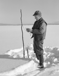 Osvald Kolbu fanger lake med fiskesaks (gjeddesaks) på den s