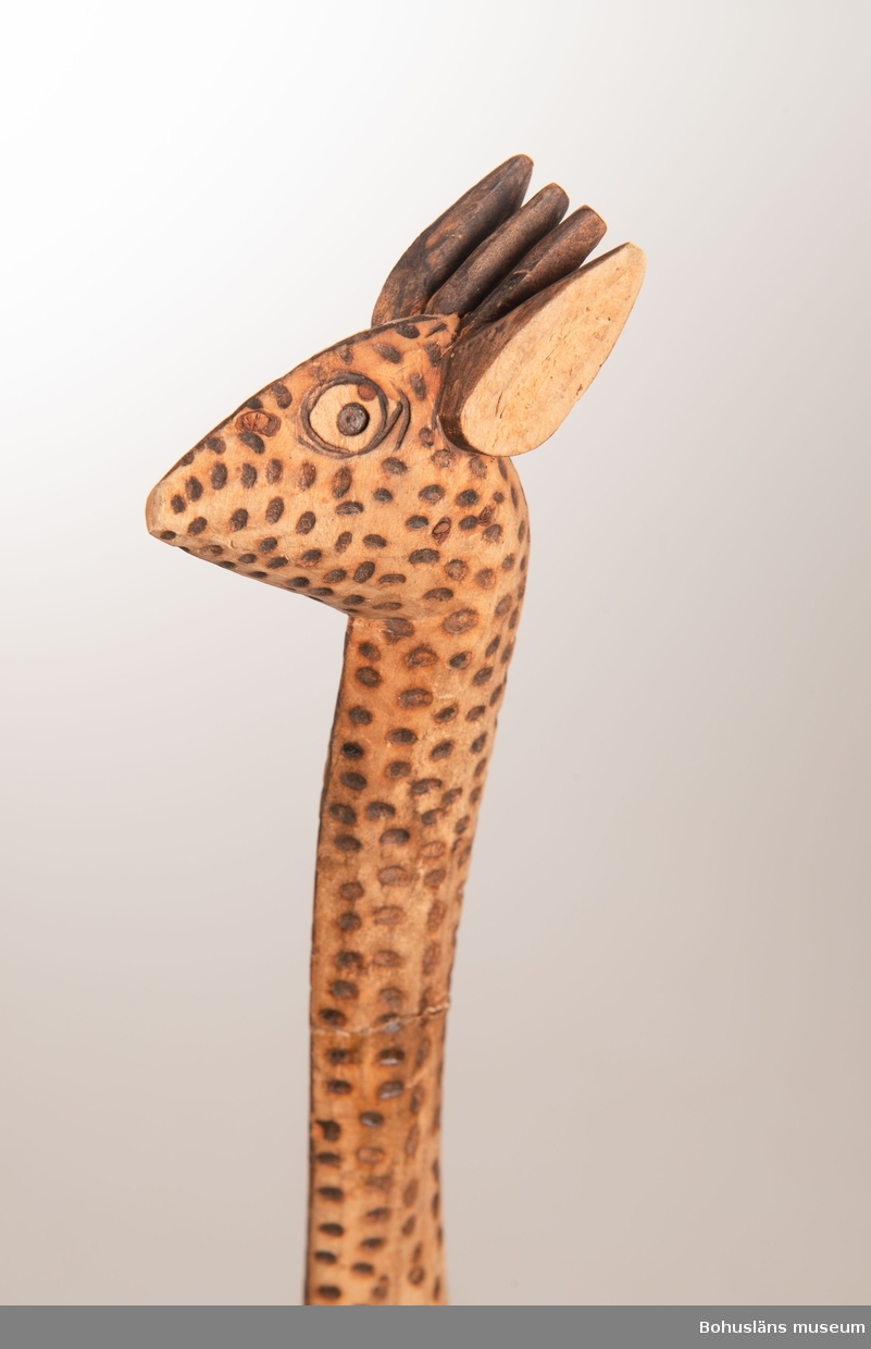 Ur handskrivna katalogen 1957-1958:
Träskulptur; giraff.
H. (utan huvud) 36 cm
de mörka fläckarna istämplade m. ngt, brännjärn.
Huvudet b) avbrutet, L.16,5 cm.
Infödingsarbete, Sydafrika.

Lappkatalog: 9