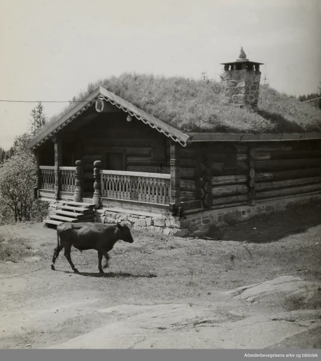 Frognerseteren. Villandsstua, opprinnelig fra Nyhus i Torpe. 1949.
