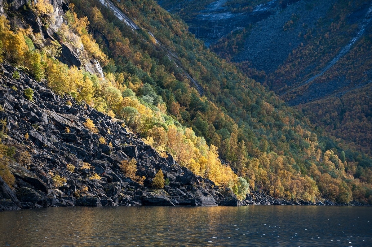 Ur ved Storvannet. Foto fra Beisfjord . Foto 24. sept 2015