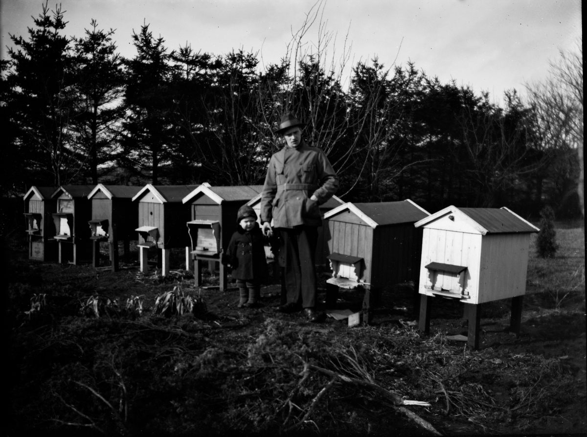 Ernst Larsson på Utmossen står med ett litet barn, båda finklädda, i bigården med åtta bikupor på rad. Bikuporna är omsorsfullt snickrade med vindskiveförsedda sadeltak och vackert figursågade konsoler till flustertaket.
