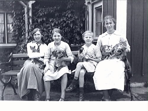Två äldre och två yngre flickor på en bänk vid ett bostadshus. I knät har dom hundar och katter. Namnet Alm är angett till fotografiet. Haby i Örby, Skene. (Se även bild MR2_1384)