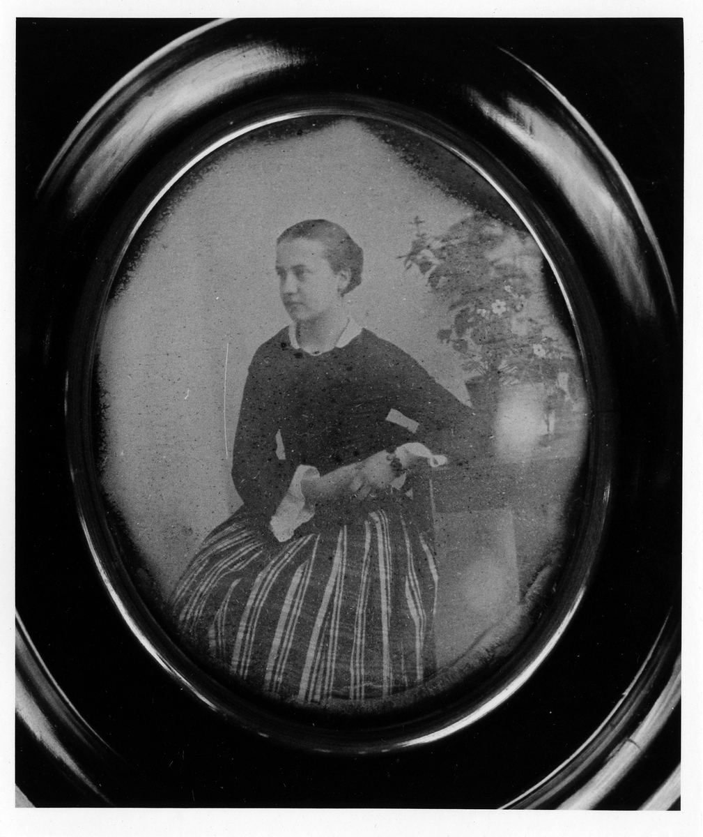 Portätt, daguerreotypi i oval form. En kvinna, i blus och randig kjol, sitter halvtvänt bort från kameran med en blomkruka bakom sig.