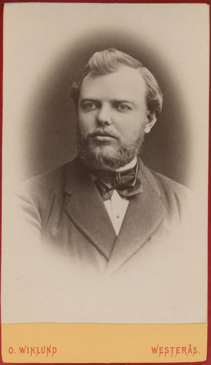 Andreas Laurentius Teodor Nattsén, född 1851-06-03 i Landet, död 1921-10-19 i Alingsås.