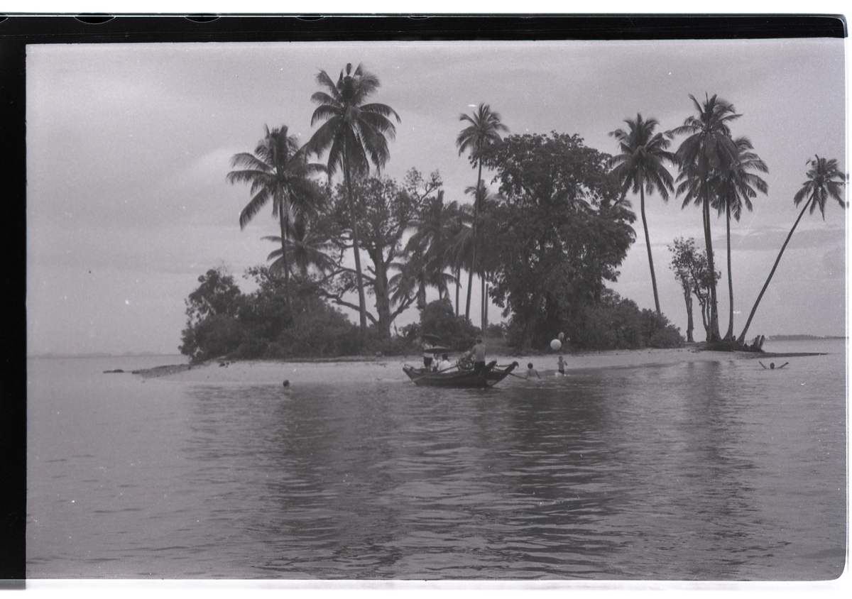 En øy med palmer og en liten båt