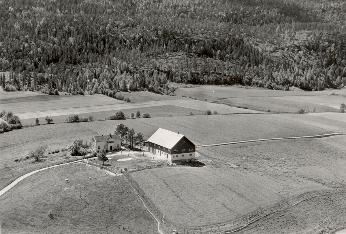 Flyfoto av Grave i Bø, tatt 13.6.1958