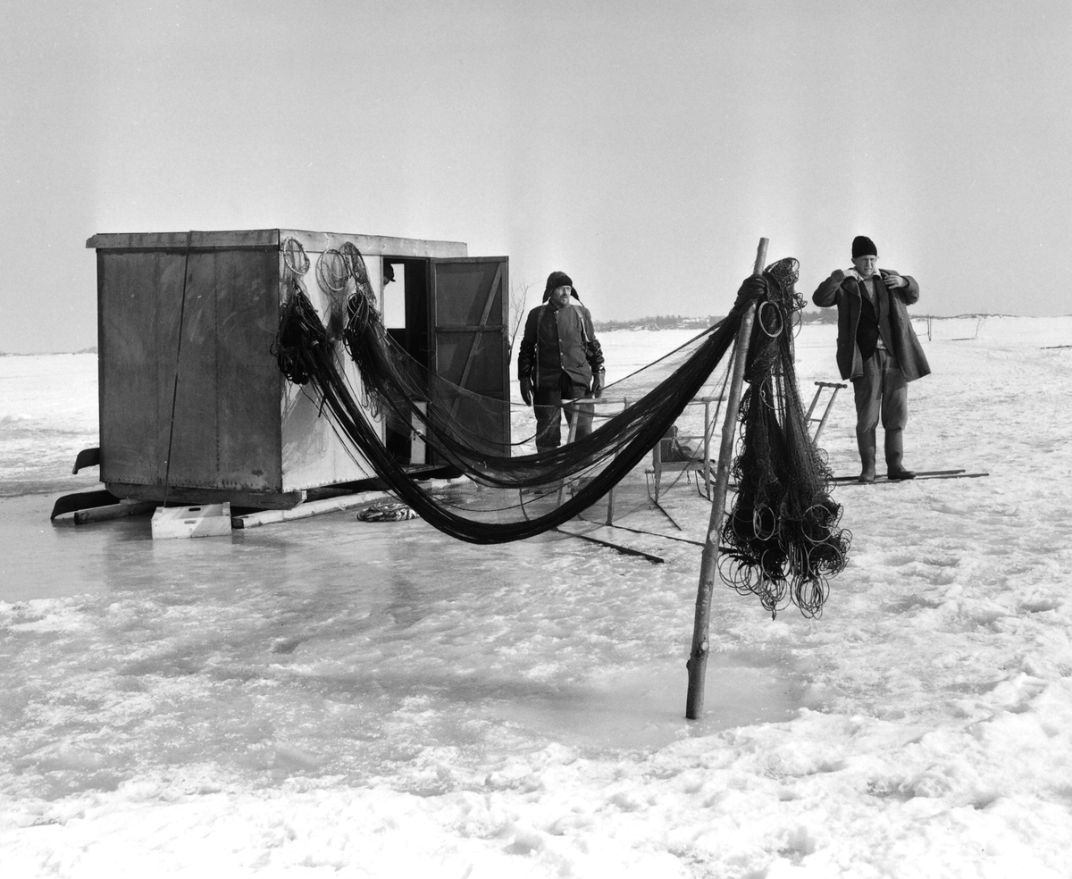 Fiskarna i Arkösund vinterfiskar på isen vid östgötakusten, 1956.
Pressfotografier från 1950-1960-talet. Samtliga bilder är tagna i Östergötland, de flesta i Linköping.