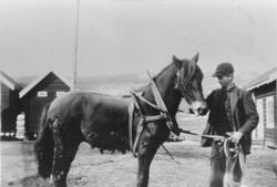 Tunet på Velstad, 1920. Torstein Velstad med oppselet hest.