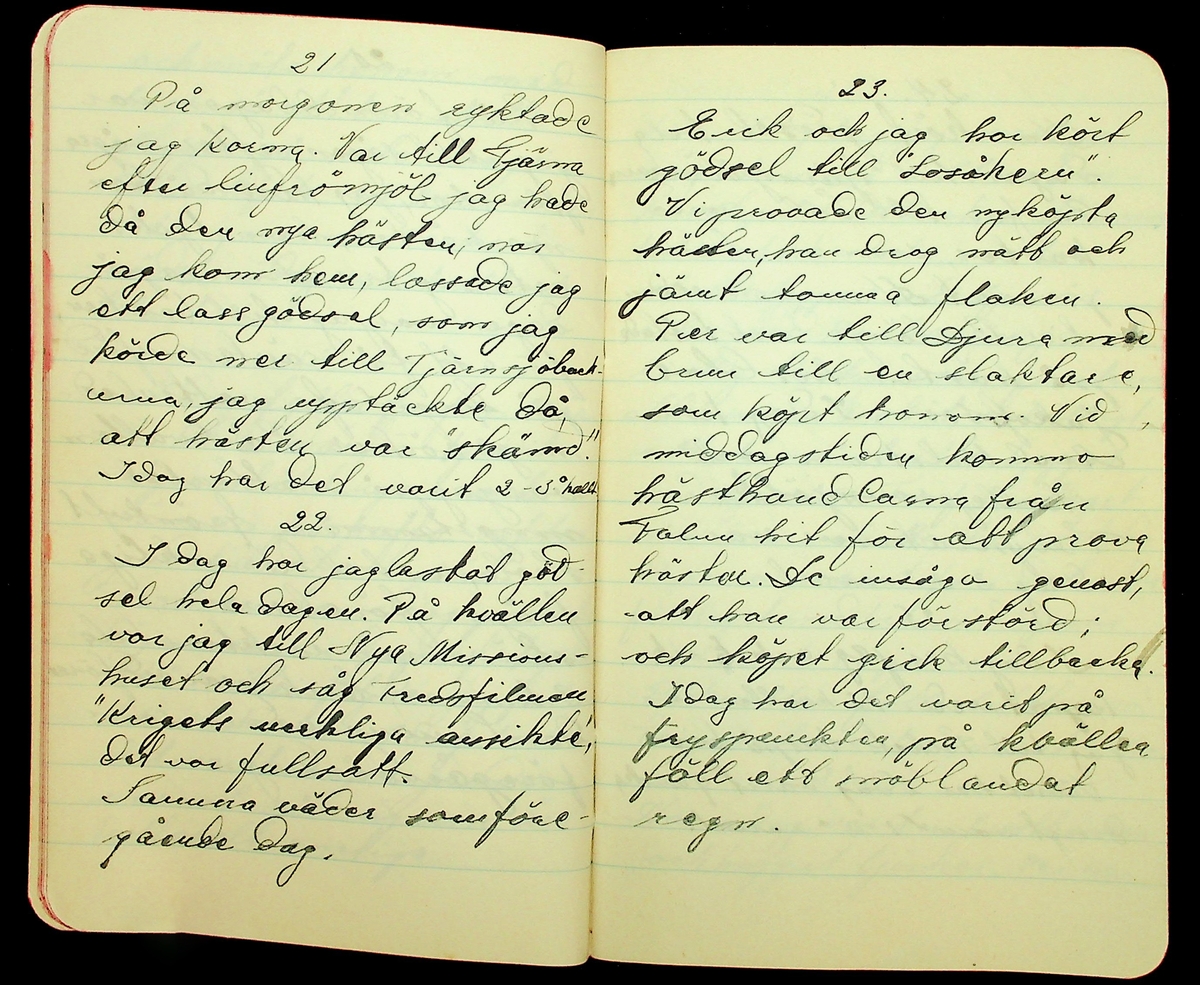 Dagbok förd vid gård i Norra Gröntuv, Tallbacken åren 1929-1930. Troligtvis skriven av en son till Erik Hane (1869-1924)