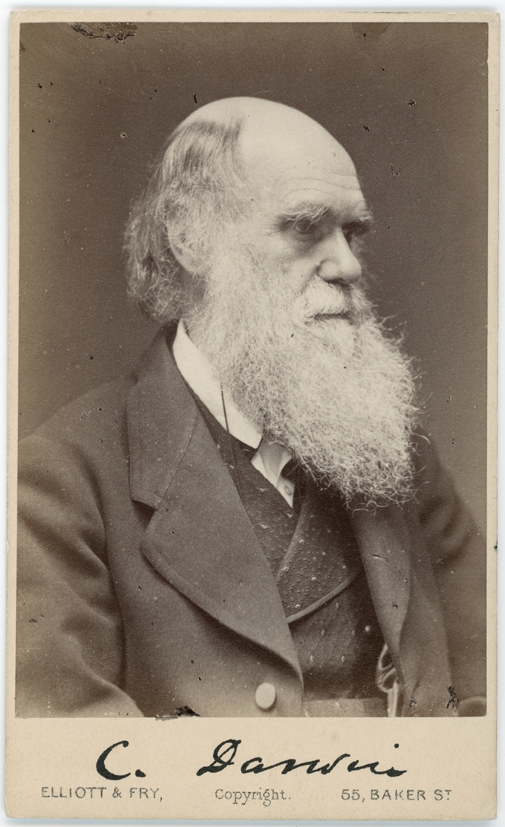 Charles Robert Darwin, född 12 februari 1809 i Shrewsbury, död 19 april 1882 i Downe, Kent, var den brittiske biolog, zoolog, geolog, teolog och forskare som upptäckte och framlade övertygande belägg för att alla arter av liv har utvecklats över tiden från ett gemensamt ursprung genom den process som han kallade naturligt urval.