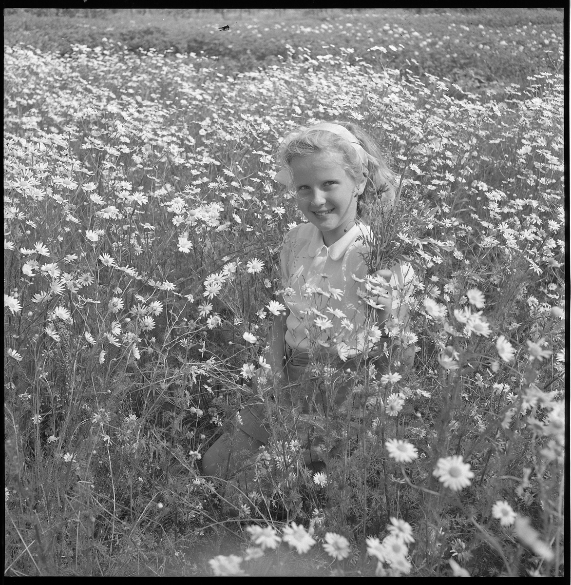 Juli 1950. Okänd flicka på en blomsteräng.