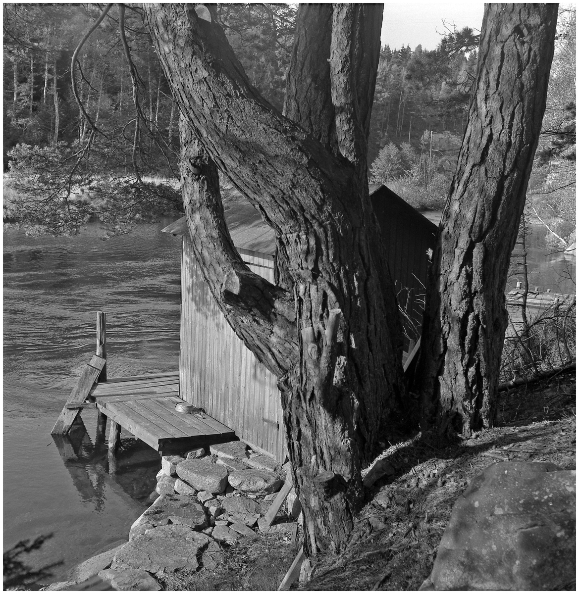 Badstuga vid oidentifierad sjö. 1957