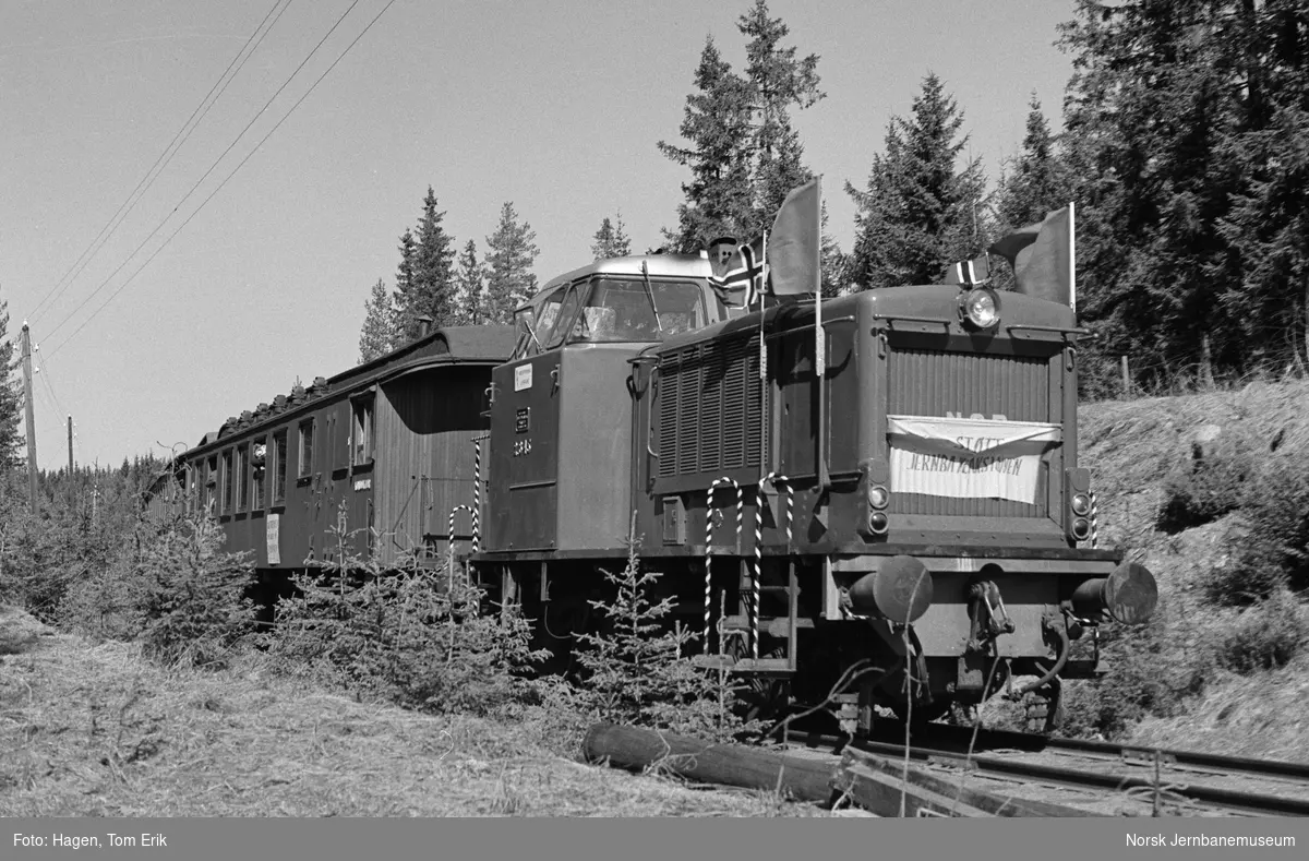 Diesellokomotiv Di 2 845 med jernbaneaksjonens ekstratog til Skreia i nærheten av Bøverbru