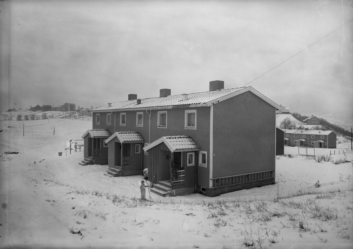 Forskjellige hus for Morten Lieskar