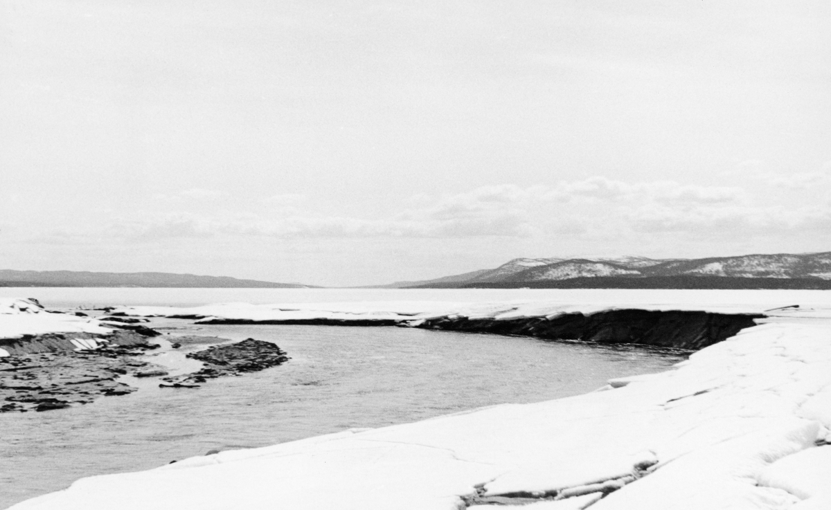 Fra Osmund, elva Nordre Osas utløp i Osensjøen. Bildet er tatt en vårdag etter at elva hadde gått opp, men før snøen og isen hadde tint.  Bildet viser hvordan det rennende vannet graver i sanda og slammet på strendene.

Dette bildet er antakelig tatt for å dokumentere tilstanden etter nedtappinga av den regulerte innsjøen. I 1941 ble 150 683 tømmerstokker innmeldt til fløting fra Osensjøens strender. Dette utgjorde om lag 30 prosent av leveransene i Osenvassdraget. Det øvrige virket kom fra tilløpselvene og fra avløpselva Søndre Osa med sidevassdraget Østre Æra. 103 486 stokker, drøyt 20 prosent av tømmeret i vassdraget, skulle fløtes inn i Osensjøen fra elvene Villa og Nordre Osa og ville nå sjøen ved Osmund. Glommens og Laagens brukseierforening tappet nemlig sjøen kraftig foregående vinter. Ettersom det var lite snø og en kjølig vår med lite nedbør, tok det lang tid å fylle sjøen igjen. Her lå det fortsatt tømmer i ei tørrlagt strandsone, sjøl om bildet er tatt i juni. Tappinga av fløtingsvirke gjennom Osdammen ble ikke startet før 4. august. Dette innebar etterfløting i Glomma sør for Rena, der østerdalstømmeret for lengst hadde passert, og ikke ubetydelige ekstrakostnader for Glomma fellesfløtingsforening. Utgiftene knyttet til utislagsarbeidet langs Osensjøens strender ble en forhandlingssak mellom skogeierne og Brukseierforeningen.