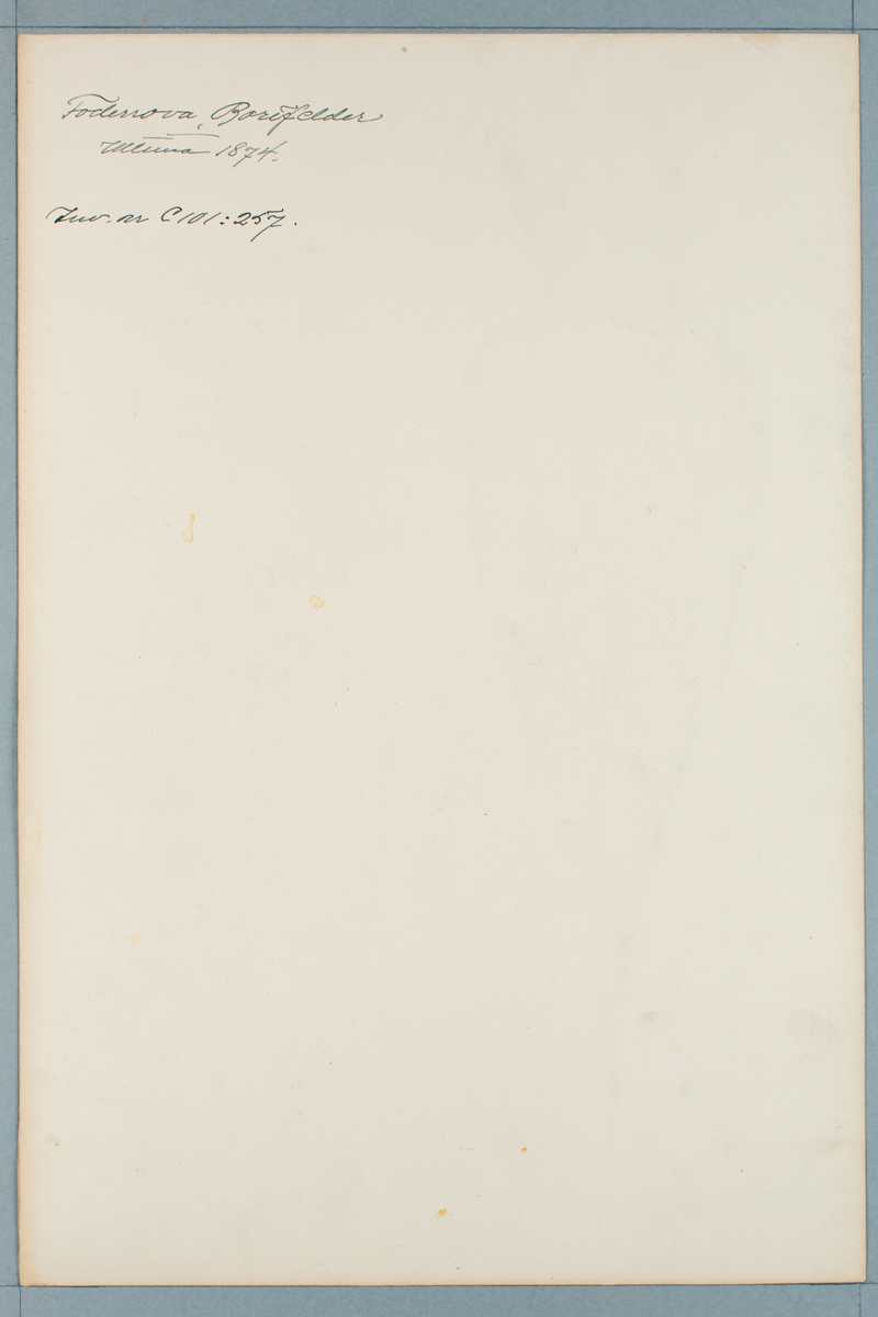 Sveriges kulturväxter. Illustration utförd av Henriette Sjöberg. Foderrova, lång, gul, Bortfelder. Odlad Ultuna 1874. Inv. nr. C101 : 257.