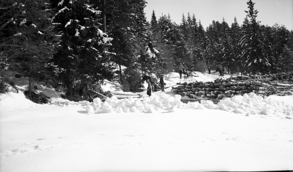 Fotosamling etter Kjetil Skomdal (1881-1971). Fotografen virket i perioden 1910 til 1960 og hadde eget mørkerom hvor han også tok imot film fra andre fotografer. I perioden var han også postbud i Fyresdal. Motiv fra tømmerkjøring med hest.