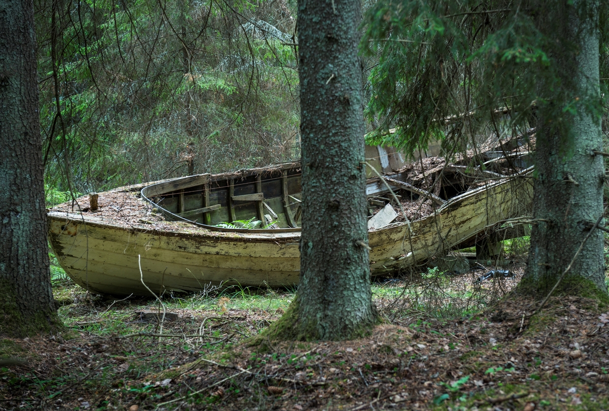 Förfallet vrak av baltisk flyktbåt i skogen på Järflotta. År 1943 användes båten av en grupp på fem för att fly från det Nargö och det ockuperade Estland till Sverige. 