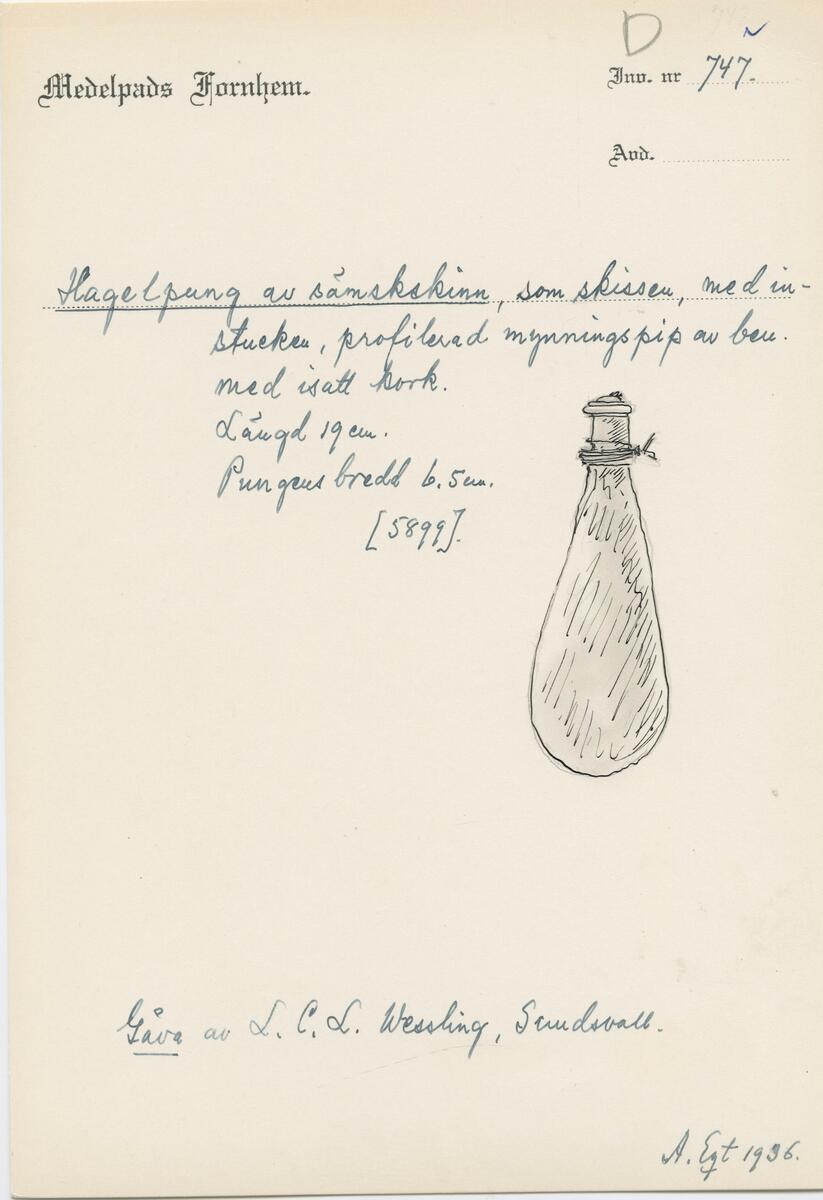 Hagelpung, av sämskskinn med instucken, profilerad mynning av ben med insatt kork. Längd 19 cm. Pungens bredd 6,5 cm. Tillverkad ca 1850. Givare  Fru och ingenjör Ludvig Carl Leopold Wessling född 10/10, Sundsvall.

