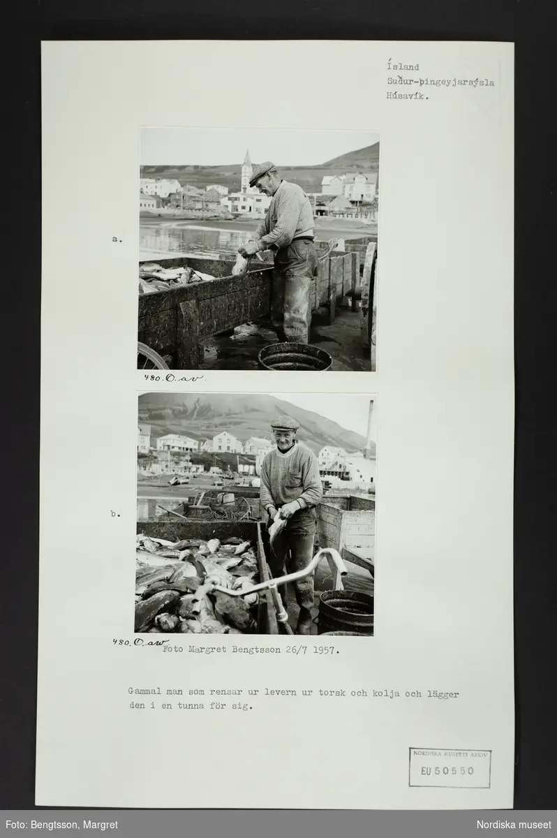 Ark med två monterade foton och text: "Gammal man som rensar levern ur torsk och kolja och lägger den i en tunna för sig."