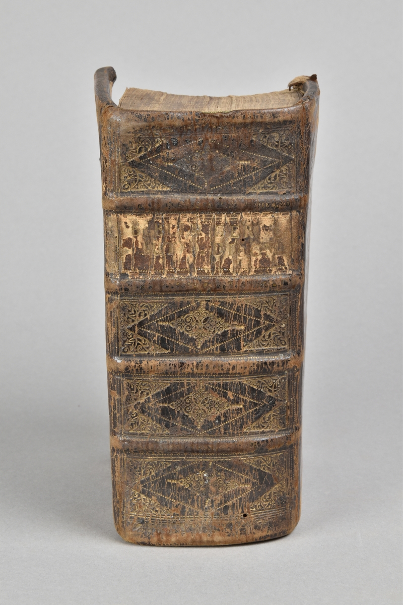 Bok, helfranskt band. De sex första sidorna saknas, troligtvis bibel från 1600-tal, på tyska. 

Skinnband i fyra upphöjda bind, guldpräglad rygg med fält för titel.