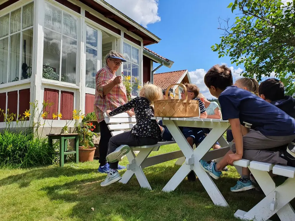 Hagevandring med elever på Eidskog bygdetun Almenninga. Dame viser fram ulike vekster foran det røde våningshuset Vestun. Fem elever sitter på hvitt utemøblement.