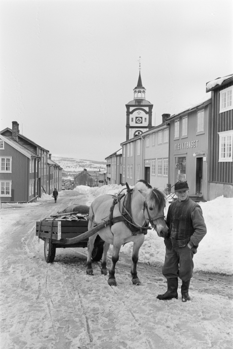 Vedkjøring med hest og vogn på Røros.