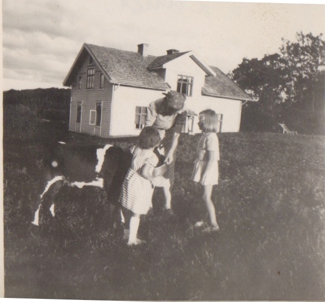 En kvinna och två små barn kelar med en kalv (troligen sommargäster), Labacka 1:2 "Lund" 1930-tal.