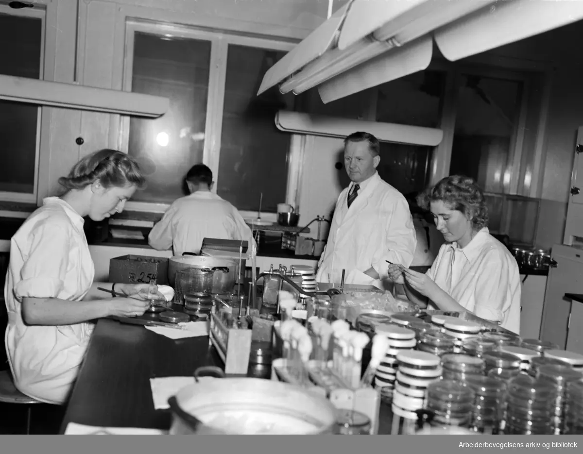 Statens Hovedlaboratorium på Furuset. Personen stående midt på bildet kan være bestyreren ved laboratoriet, Dr. Bratlie. Februar 1951