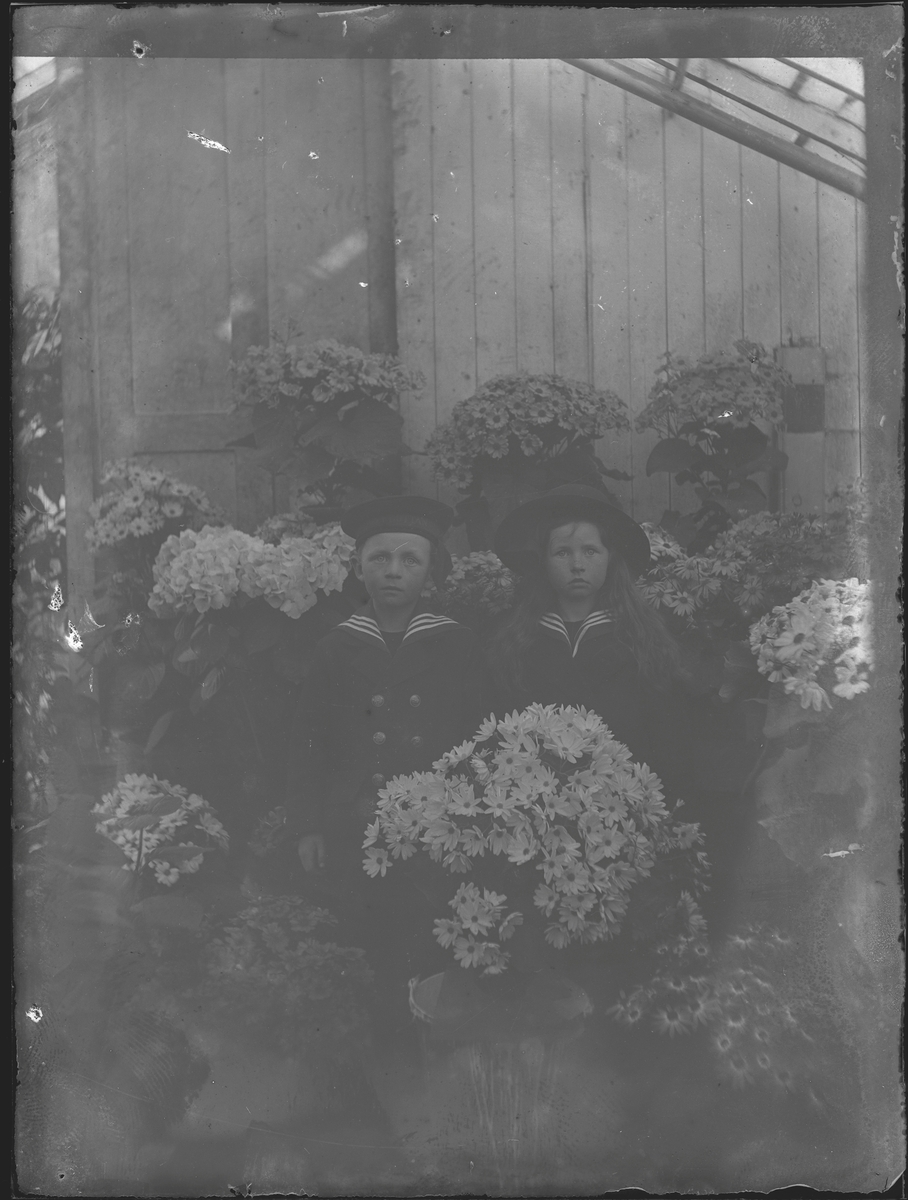 Grupporträtt av två barn klädda i sjömansdräkter bland blommorna i ett växthus.
