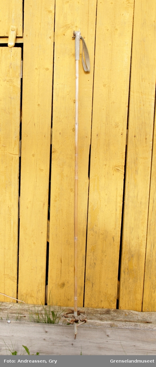 Èn skistav av bambus med stropp og håndtak i grått skinn. Trinse av bambus og grått skinn, den er løsnet i sammenføyningen. Tupp av aluminium og jern.
