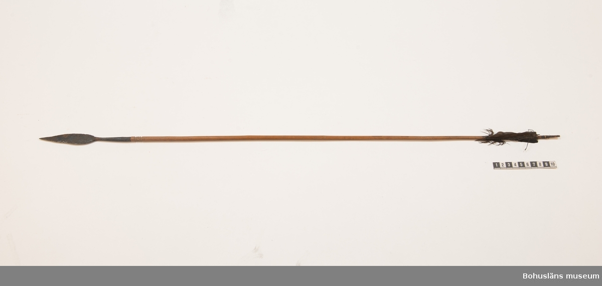 Ur handskrivna katalogen 1957-1958:
En pil, bredsp. Afrika
L.a) 87, b) 85,5 cm; av trä, m. spetsar av järn; i bakre delen 3 svarta styrfjädrar. Hela.
