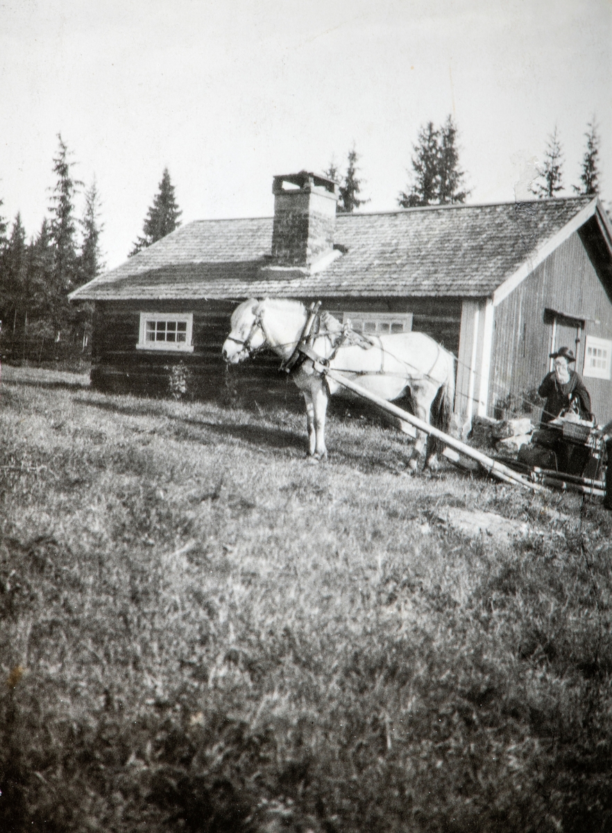 Bilde fra Ålsætra i Løten, hest med vogn, fjording, muligens Emil Hovind sin hest. ca 1915