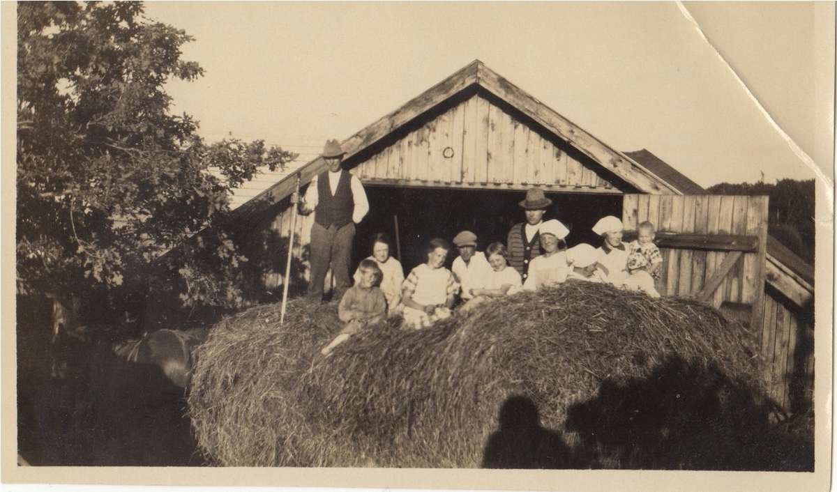 Höbärgning vid Labacka 1:2 "Lund" cirka 1930. Flertalet personer sitter/står på ett hölass.