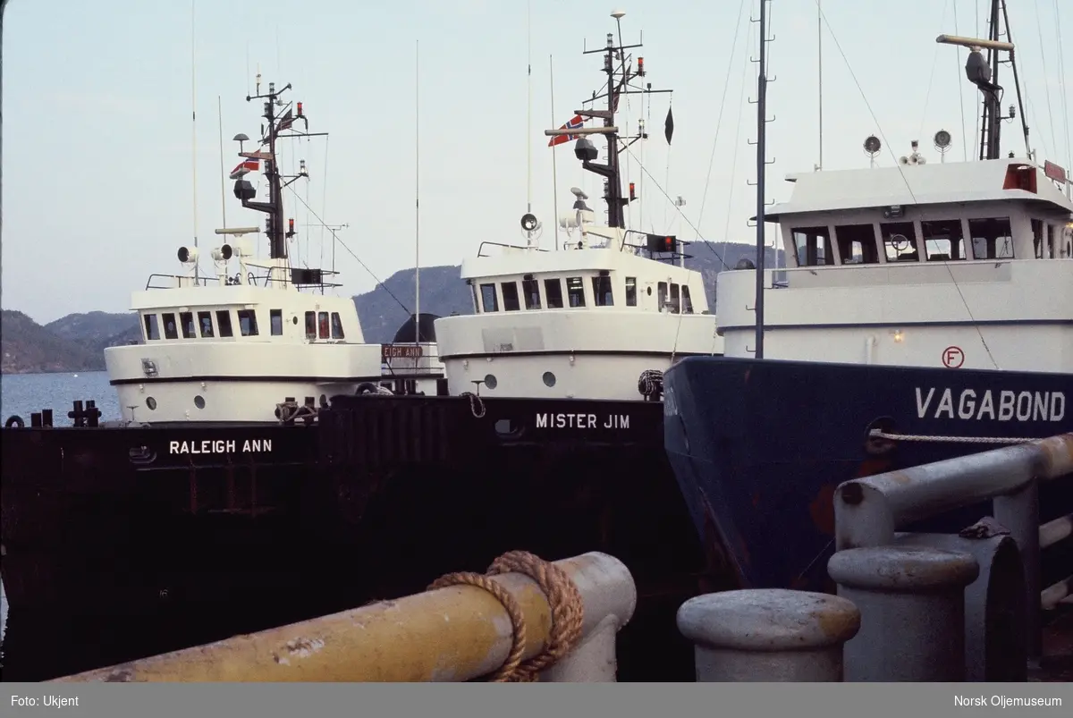 Forsyningsskipet "Vagabond" og slepebåtene "Mister Jim" og "Raleigh Ann" ligger til kai.