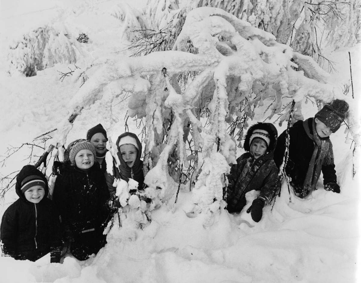 Foto av barn som leker i snøen.