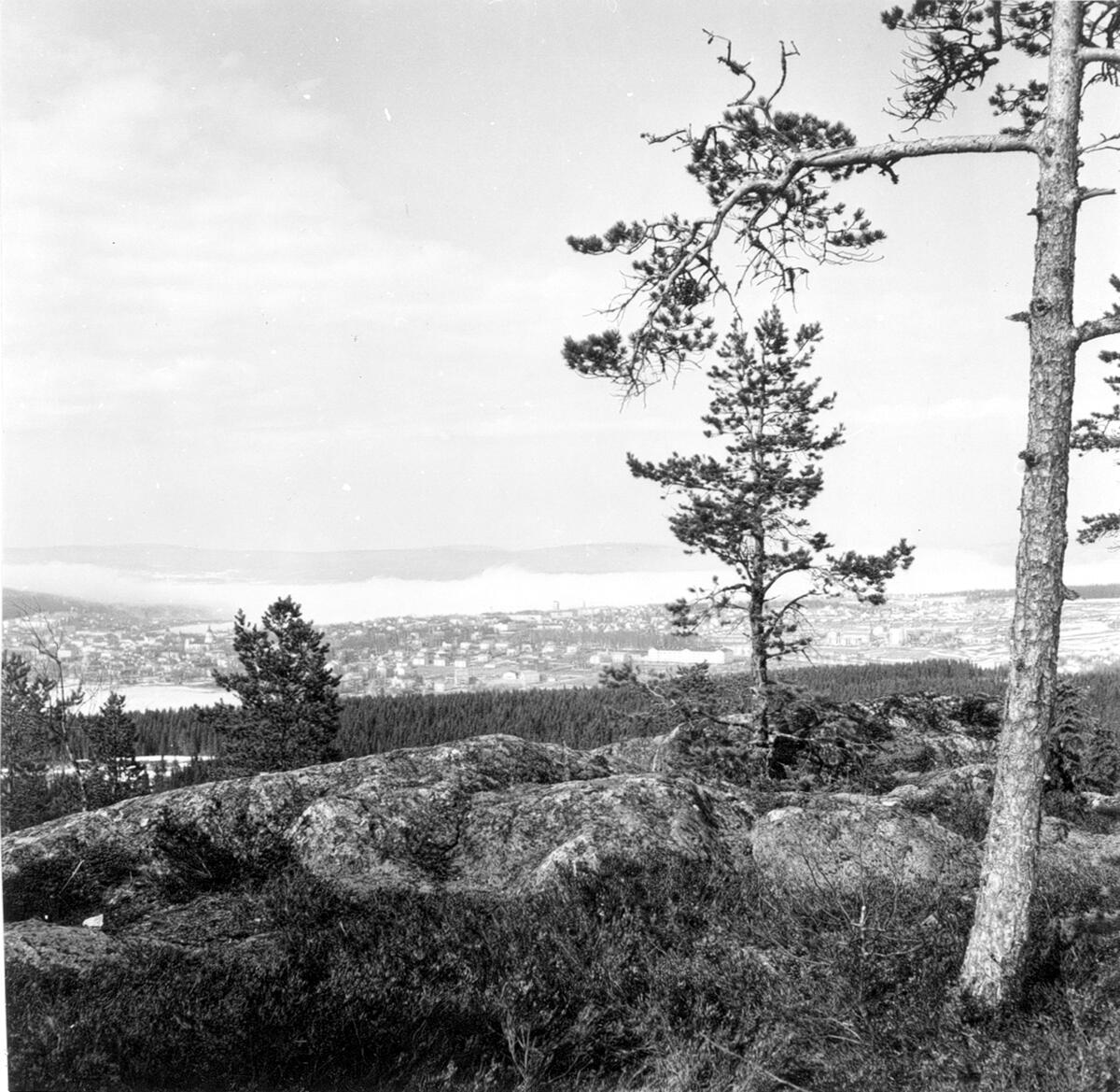 Utsikt från Vårdkasberget