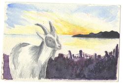 … skal i den Sorte gryte