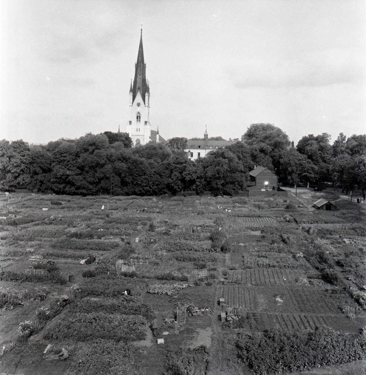 Koloniområdet på Ålebrunnslyckorna, där det långa landstatshuset uppförts.

Vasagärdet, Domkyrkan syns i bakgrunden samt t.h. skymtas slottet. Längst t.v. i bild syns Vasastaden.