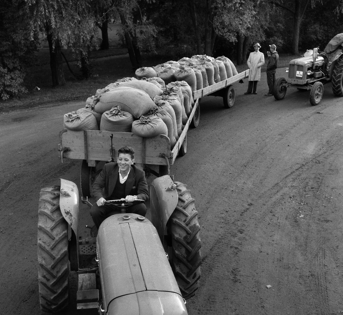 Bönderna köar vid Centralföreningen för att leverera årets skörd, 1956.